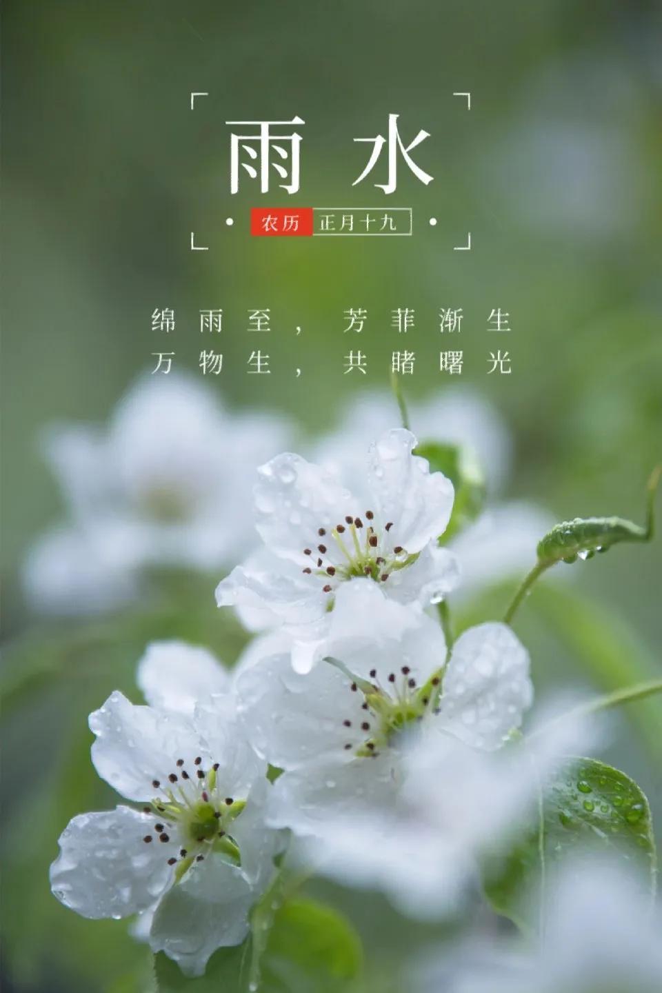 雨水节气最新解读与影响分析