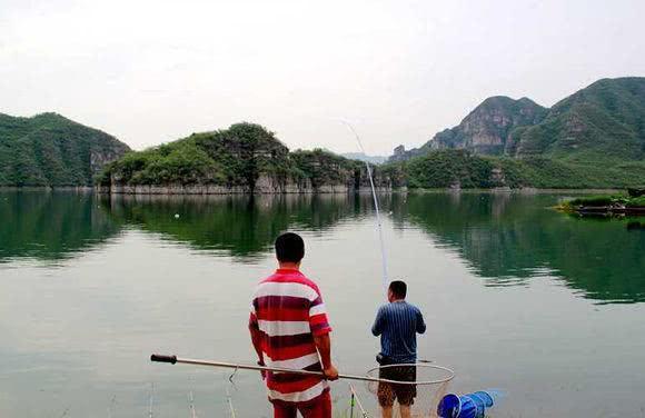 阜宁最新钓鱼，探索垂钓乐趣的新天地