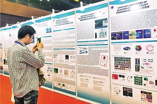 科学最新报道，揭示未知世界的奥秘与前沿进展