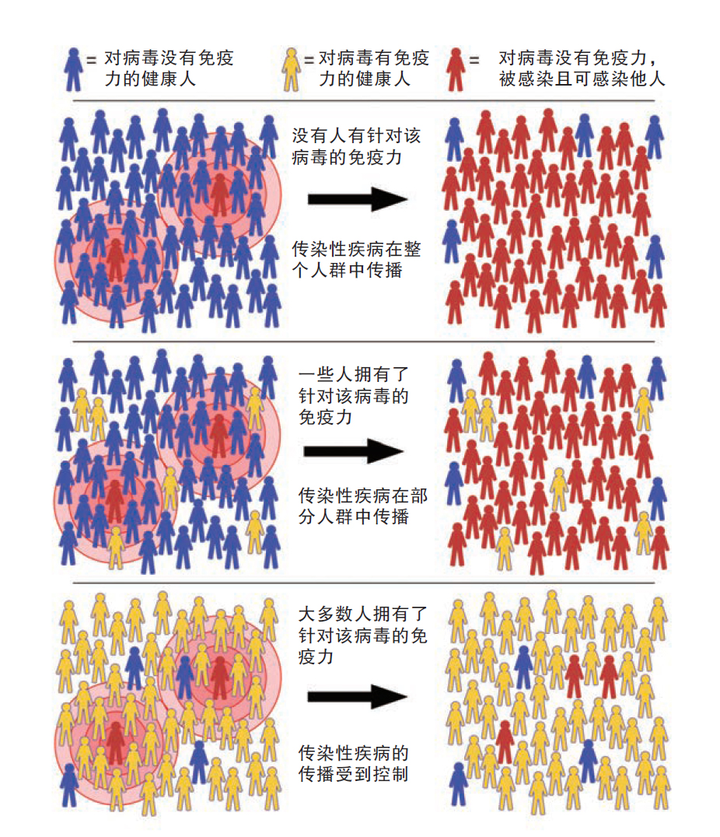 最新疫情移情，人类情感的重新解读与应对