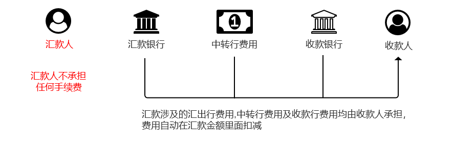 最新现汇账户，理解其概念、特点与应用