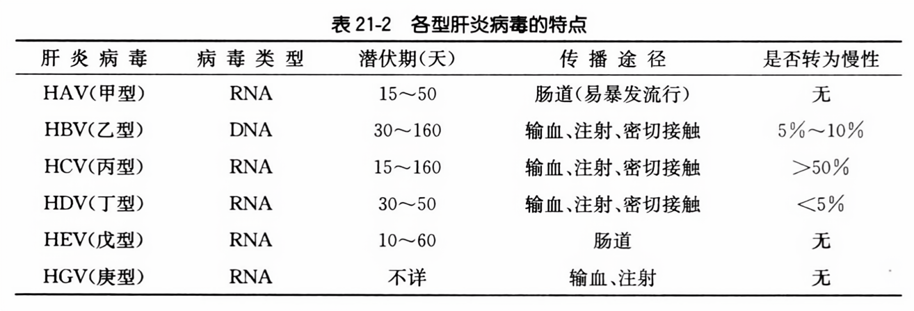 最新肝炎情况概述及其影响