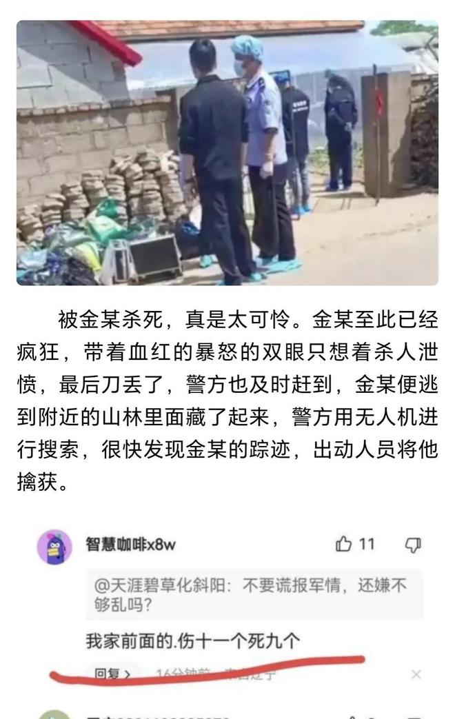 许昌最新杀人事件，悲剧背后的深思与警醒