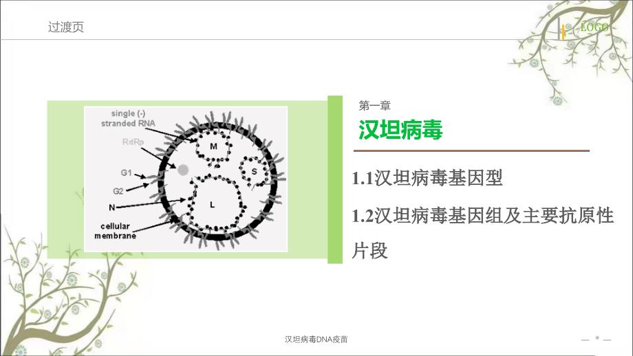 最新汉坦病毒研究概述