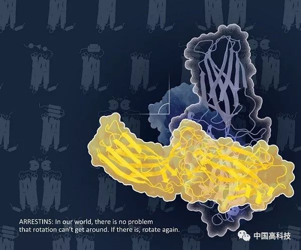 最新自然载文，探索自然的奥秘与前沿科技研究