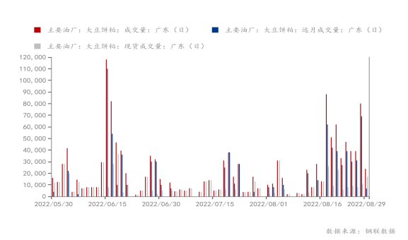 广东豆粕最新动态，市场走势分析与展望