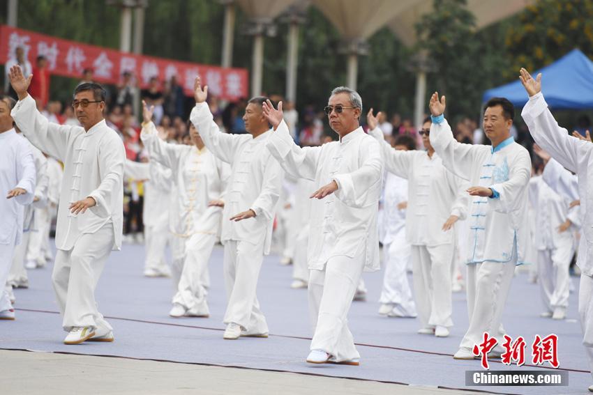 青鸟健身最新动态，引领健康潮流，打造全方位健身体验