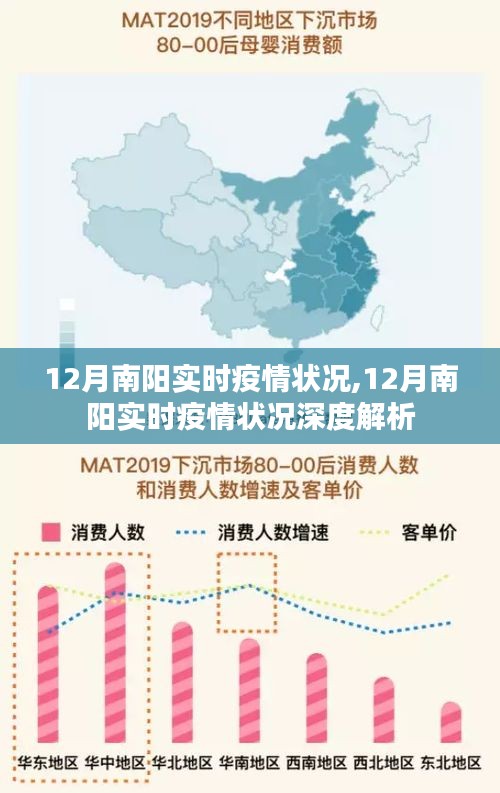 南阳疫情最新动态分析